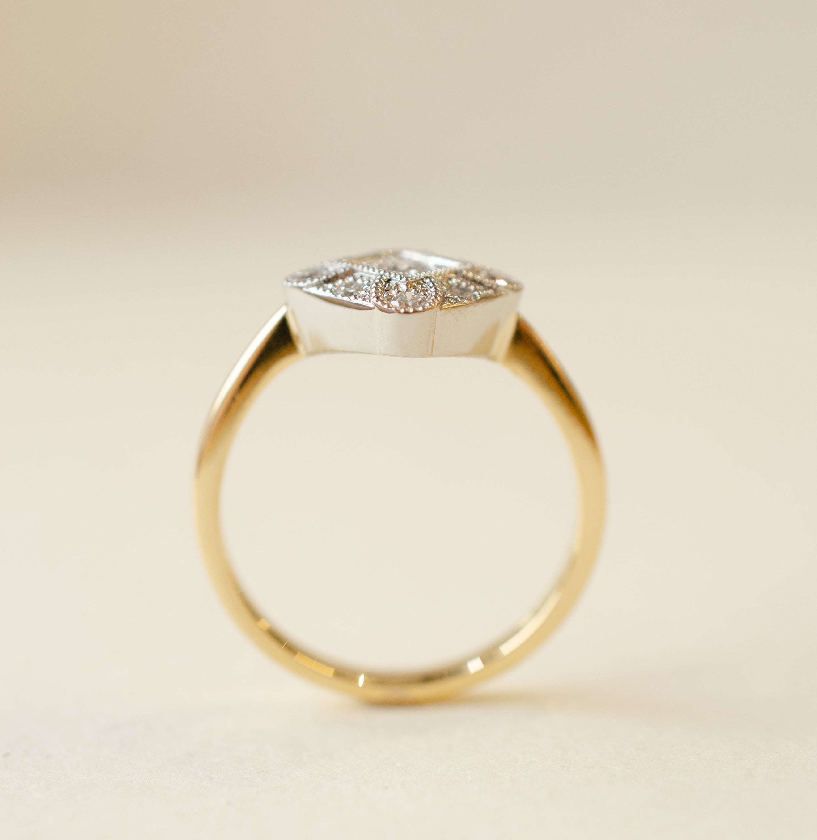 Diamond Milgrain Engagement Ring In Platinum & 18ct Yellow Gold