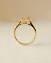 yellow gold and diamond emerald cluster engagement ring