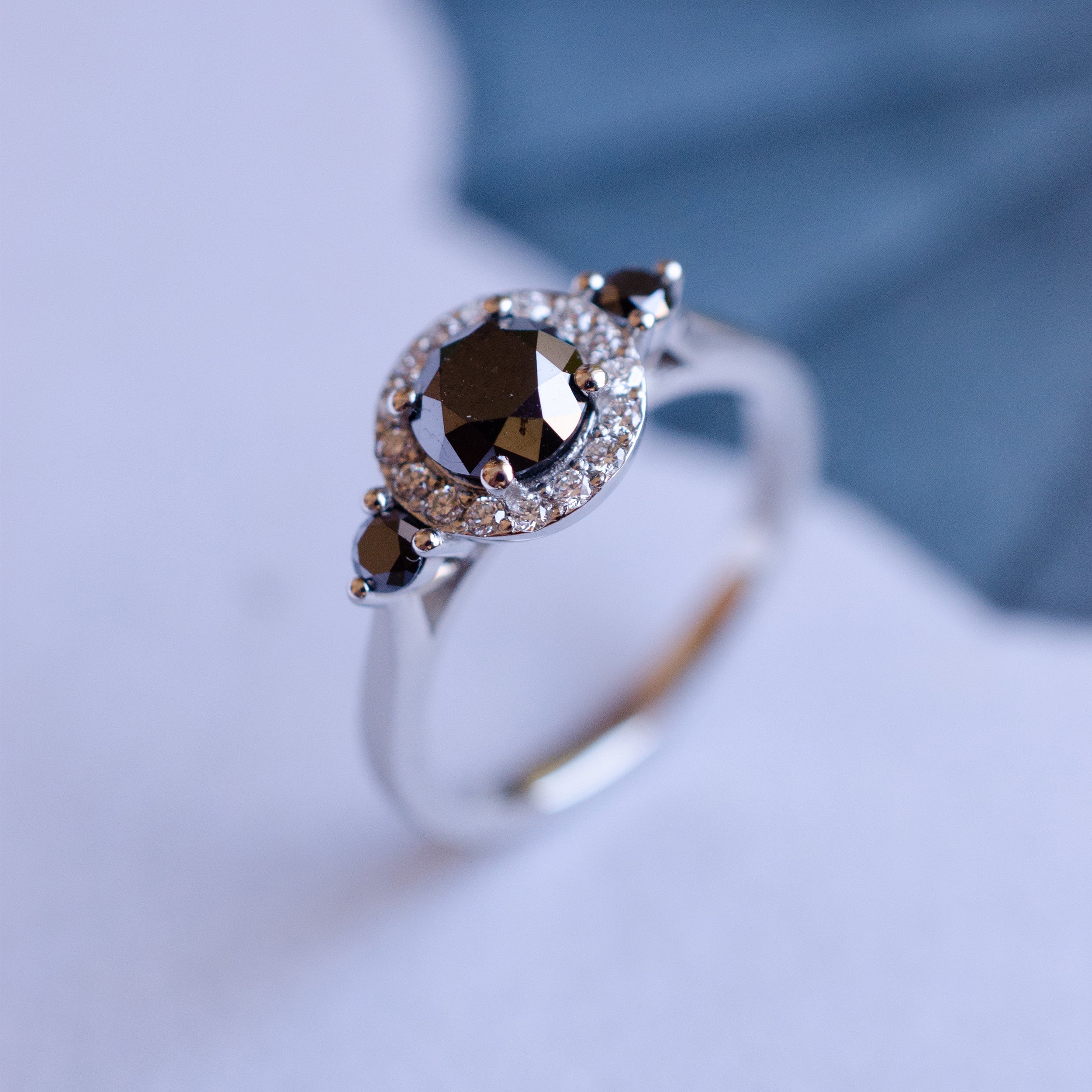 Platinum Black Diamond Trilogy Engagement Ring